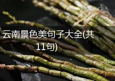 云南景色美句子大全(共11句)