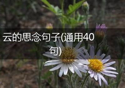 云的思念句子(通用40句)