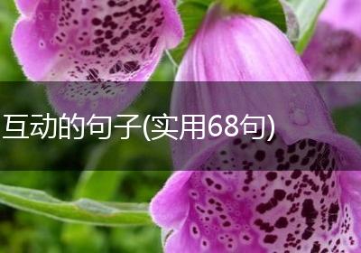 互动的句子(实用68句)