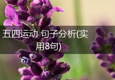 五四运动 句子分析(实用8句)