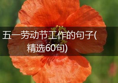 五一劳动节工作的句子(精选60句)