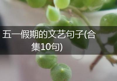 五一假期的文艺句子(合集10句)