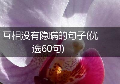 互相没有隐瞒的句子(优选60句)