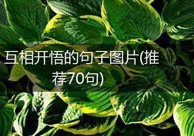 互相开悟的句子图片(推荐70句)