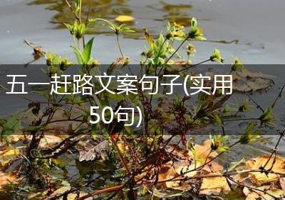 五一赶路文案句子(实用50句)