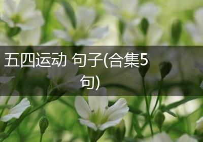 五四运动 句子(合集5句)