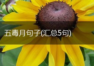 五毒月句子(汇总5句)