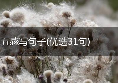 五感写句子(优选31句)