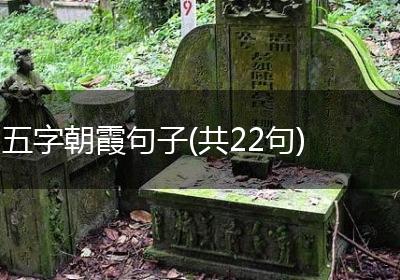 五字朝霞句子(共22句)
