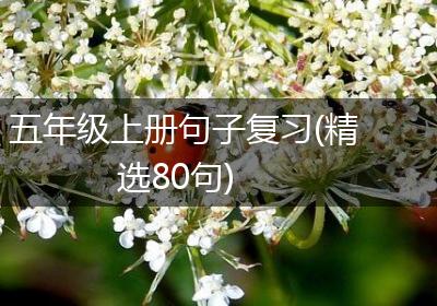 五年级上册句子复习(精选80句)