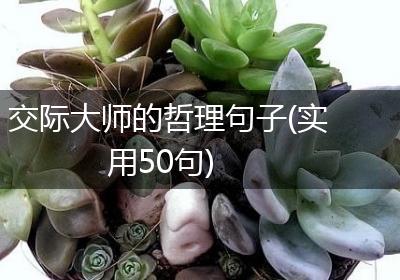 交际大师的哲理句子(实用50句)