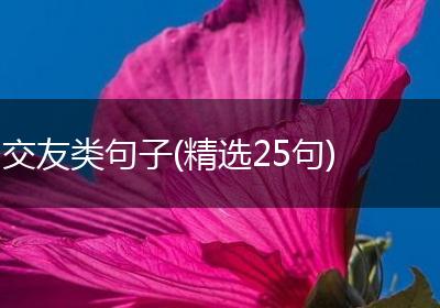 交友类句子(精选25句)