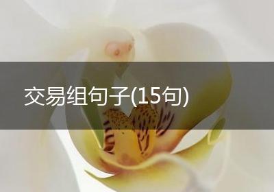 交易组句子(15句)