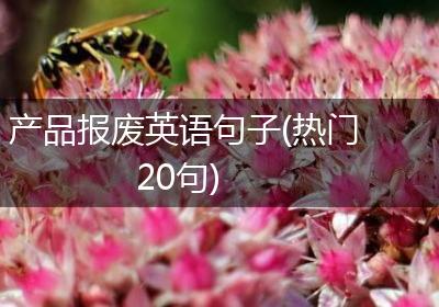 产品报废英语句子(热门20句)