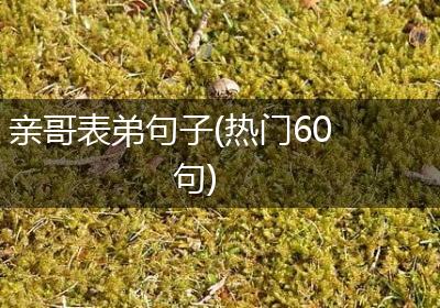 亲哥表弟句子(热门60句)