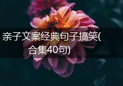 亲子文案经典句子搞笑(合集40句)