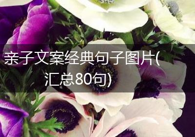 亲子文案经典句子图片(汇总80句)