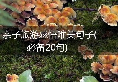 亲子旅游感悟唯美句子(必备20句)