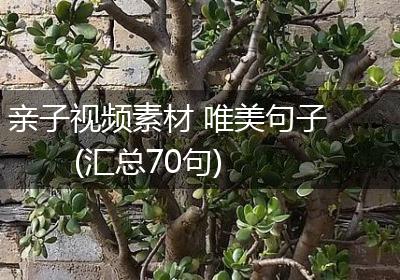 亲子视频素材 唯美句子(汇总70句)