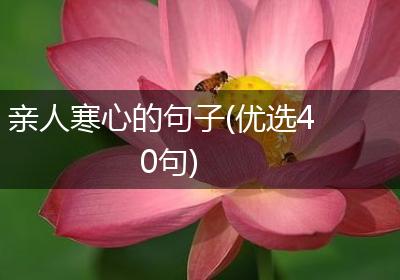 亲人寒心的句子(优选40句)