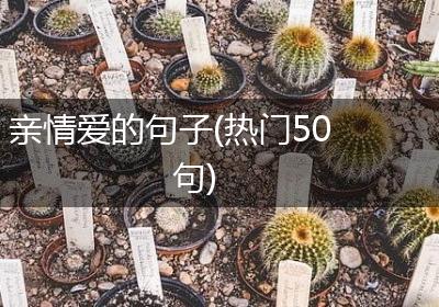 亲情爱的句子(热门50句)