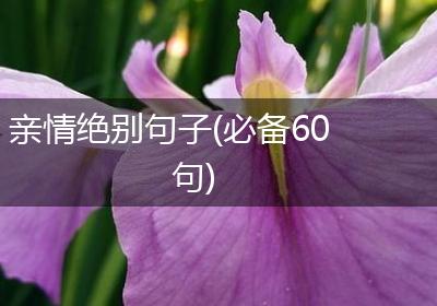 亲情绝别句子(必备60句)