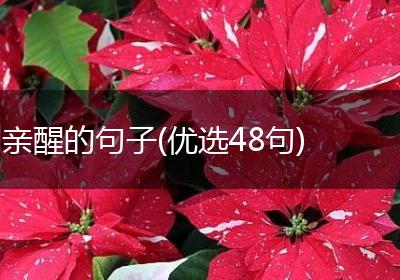 亲醒的句子(优选48句)
