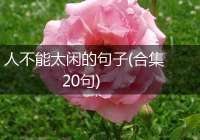 人不能太闲的句子(合集20句)