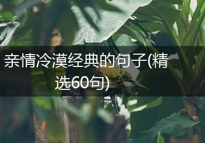 亲情冷漠经典的句子(精选60句)