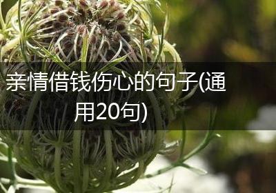 亲情借钱伤心的句子(通用20句)