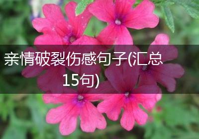 亲情破裂伤感句子(汇总15句)