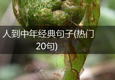人到中年经典句子(热门20句)
