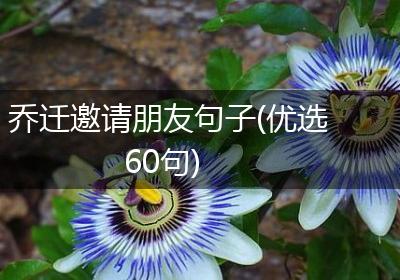 乔迁邀请朋友句子(优选60句)