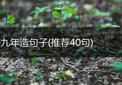 九年造句子(推荐40句)