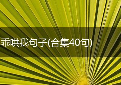 乖哄我句子(合集40句)