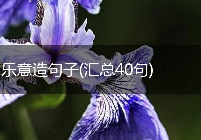 乐意造句子(汇总40句)
