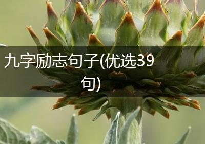 九字励志句子(优选39句)