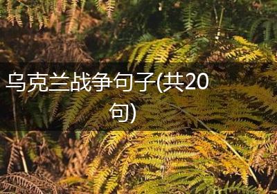 乌克兰战争句子(共20句)