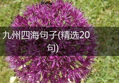 九州四海句子(精选20句)
