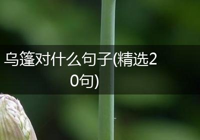乌篷对什么句子(精选20句)