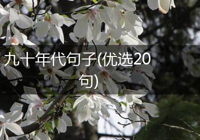 九十年代句子(优选20句)