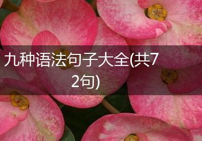 九种语法句子大全(共72句)