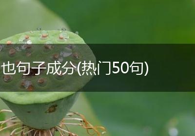 也句子成分(热门50句)