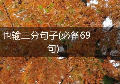 也输三分句子(必备69句)
