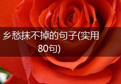 乡愁抹不掉的句子(实用80句)