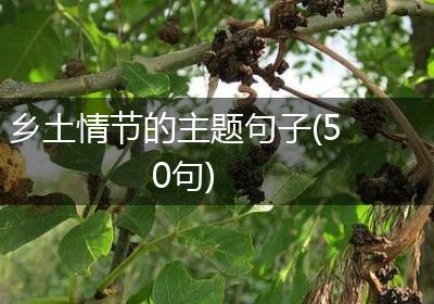 乡土情节的主题句子(50句)