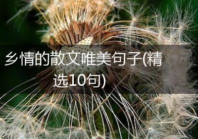 乡情的散文唯美句子(精选10句)