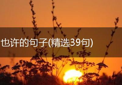 也许的句子(精选39句)