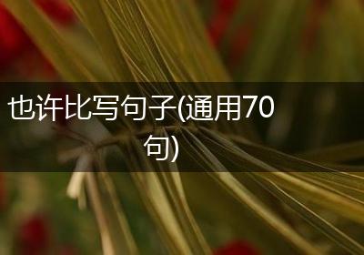 也许比写句子(通用70句)