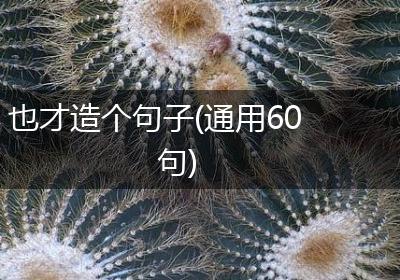 也才造个句子(通用60句)